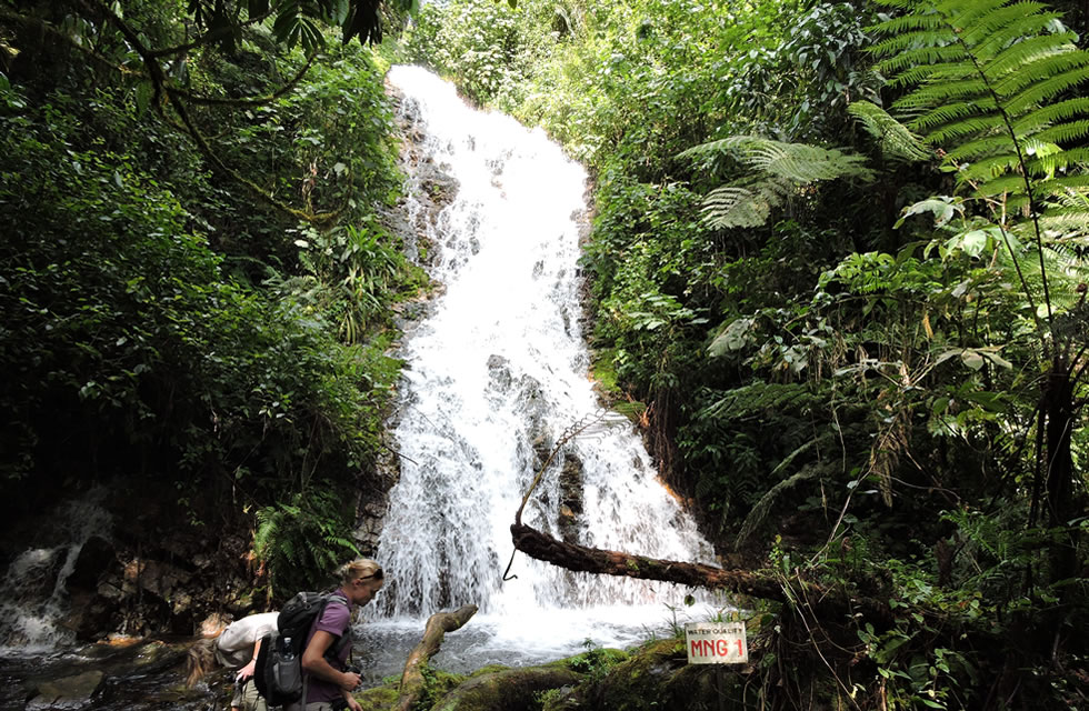 Bwindi waterfall on a guided forest morning walk