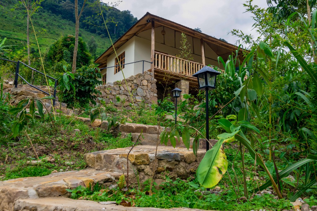 Cottage on lush hillside