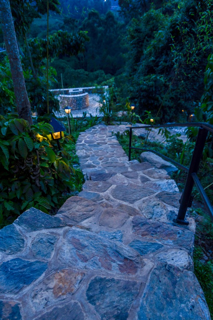 Illuminated stone stairs through lush forest
