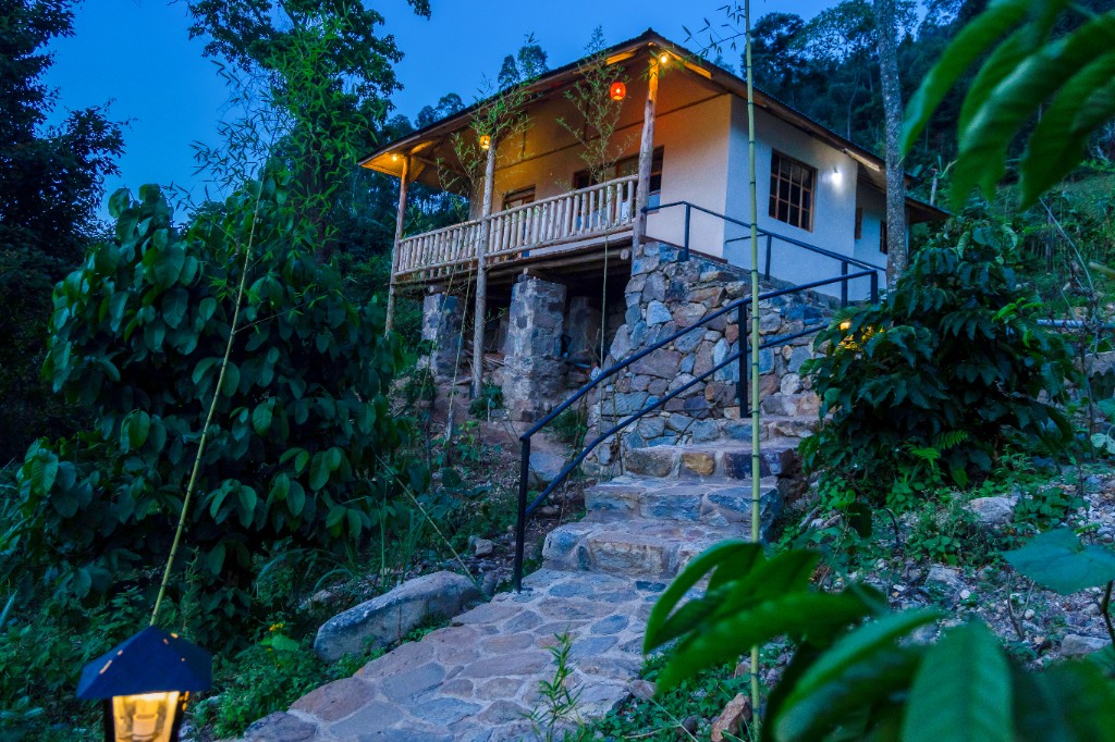 Stone steps ascending hillside to lodge